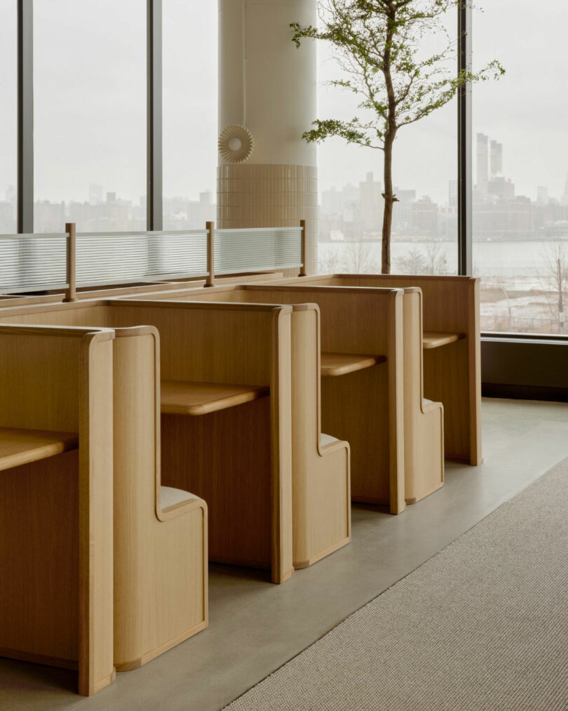 A row of three light-wood study booths with upholstered seating located next to large windows.