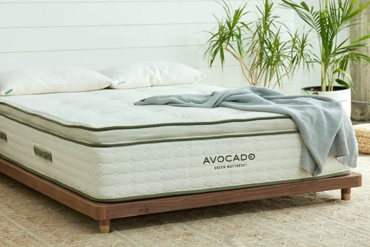 An ultra-low maple wood platform bed frame from Avocado.