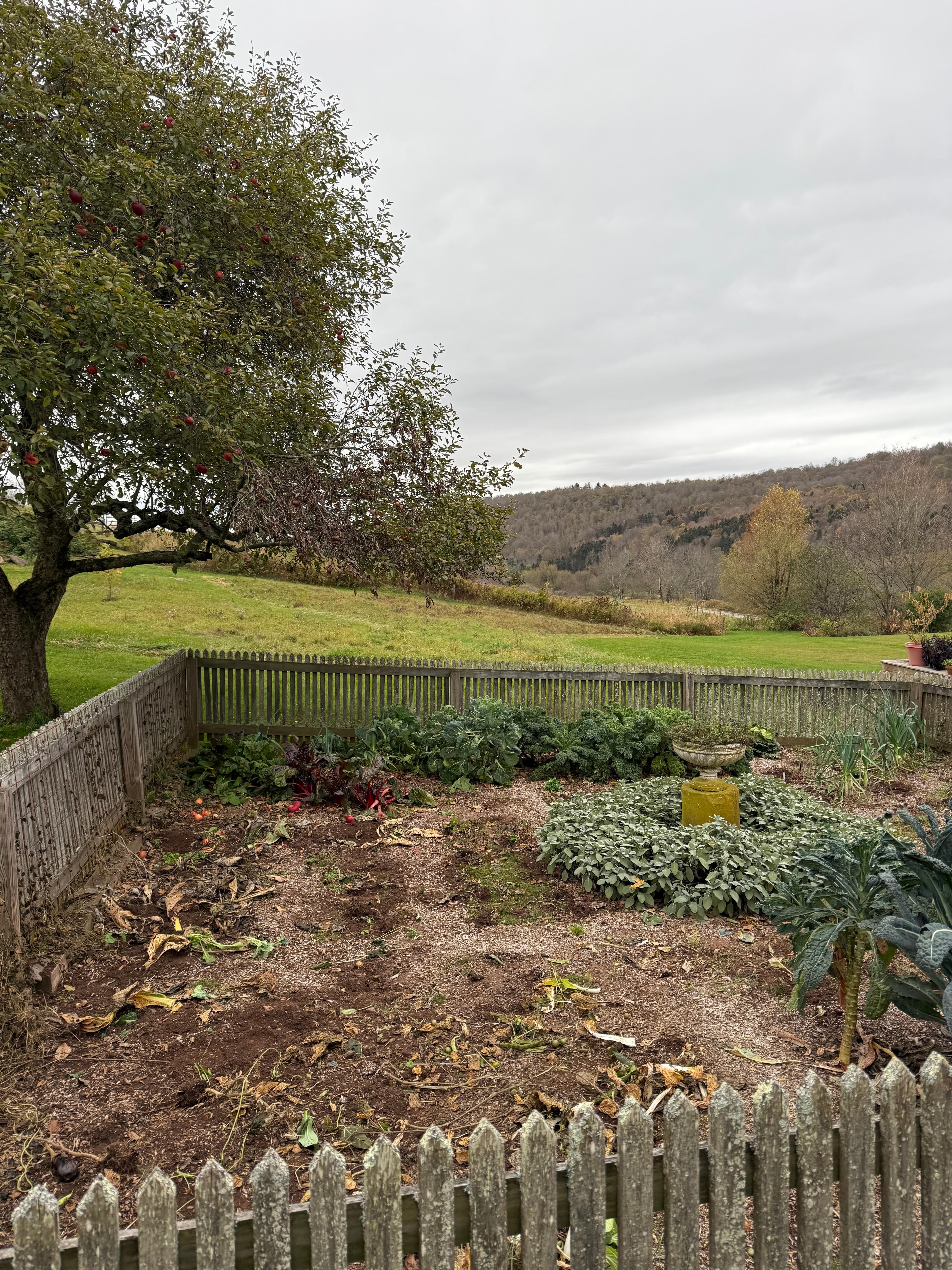 An outdoor garden space with cleared debris and brown, dormant vegetation ready for mulching.