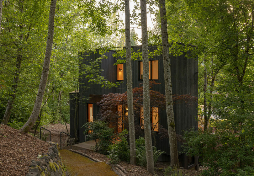 Evening view of the dark-wood Alder House glowing with warm light amidst tall forest trees.