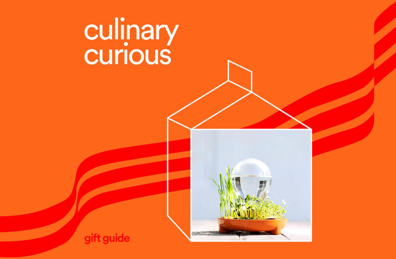 Orange background with 'culinary curious' text and an artistic glass orb over sprouting plants.