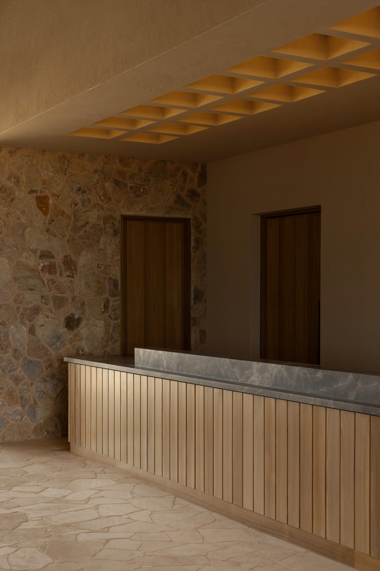 Looking out from a luxury interior space towards the safari park environment.