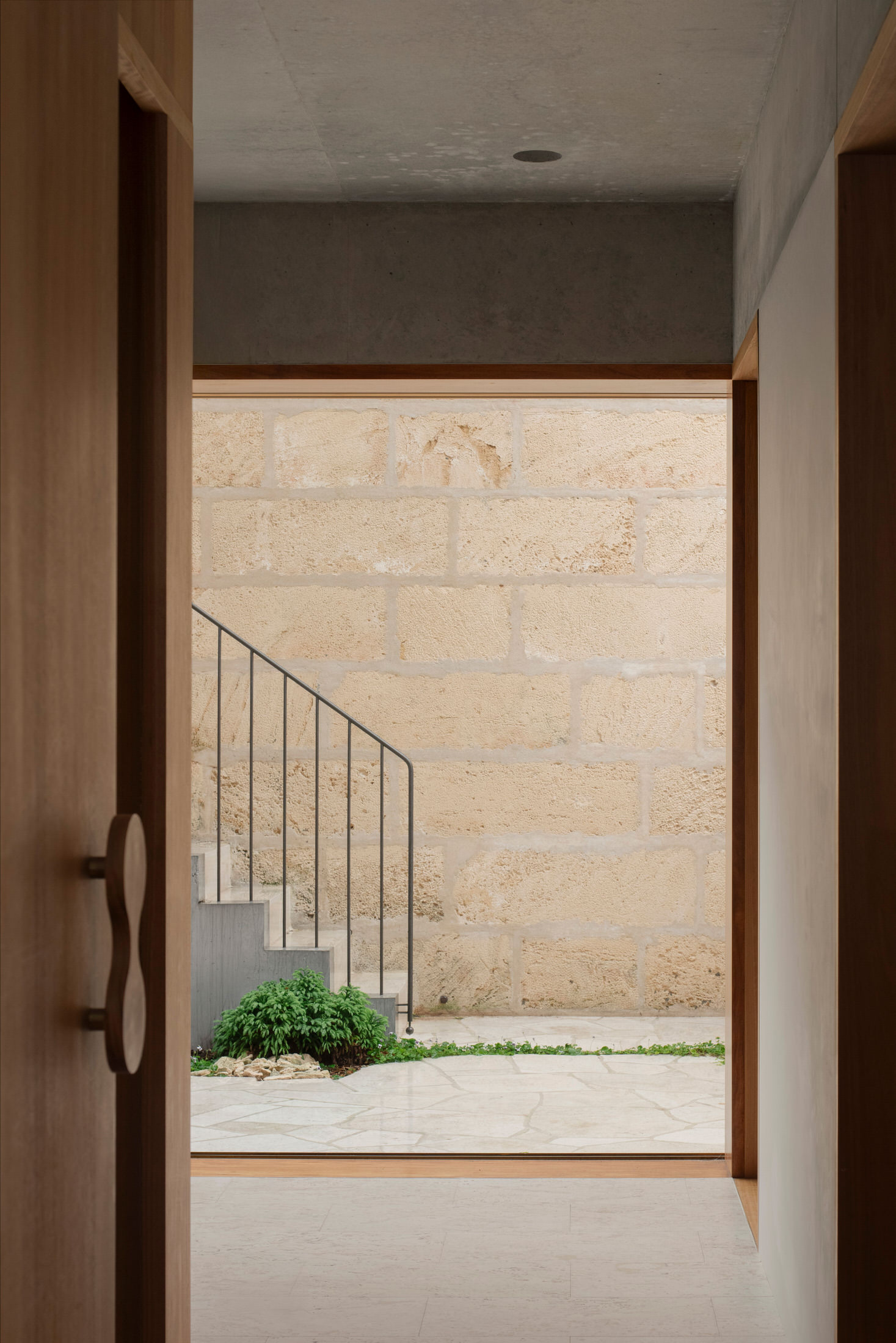 Lush garden borders with a mix of Mediterranean and native plants next to a stone path.