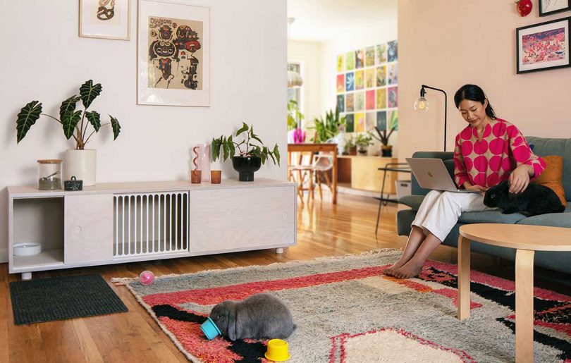 A minimalist living room with a wooden credenza bench that houses a rabbit enclosure.