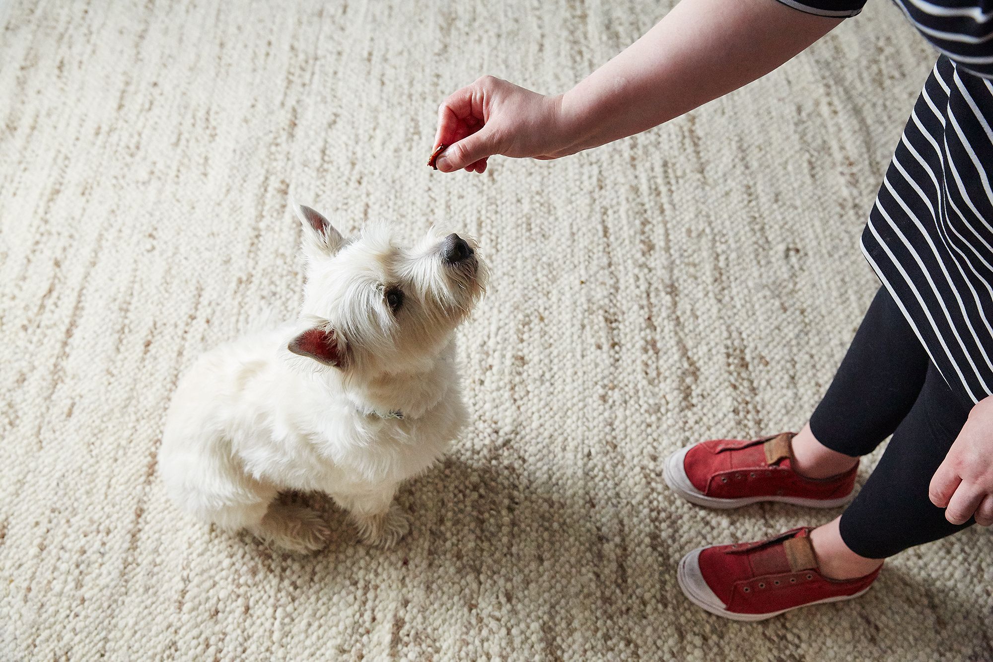 Electrostatic Mops vs. Vacuums: The Secret to a Truly Dust-Free Home
