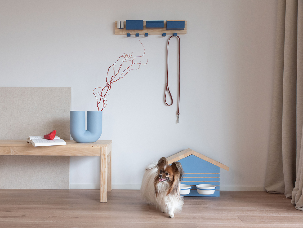Designing for Paws: How Ergonomic Pet Furniture & Adjustable Feeders Improve Pet Health