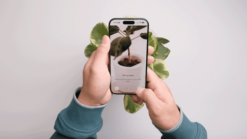 A person holding a phone with the plant care app in front of a real, healthy plant.