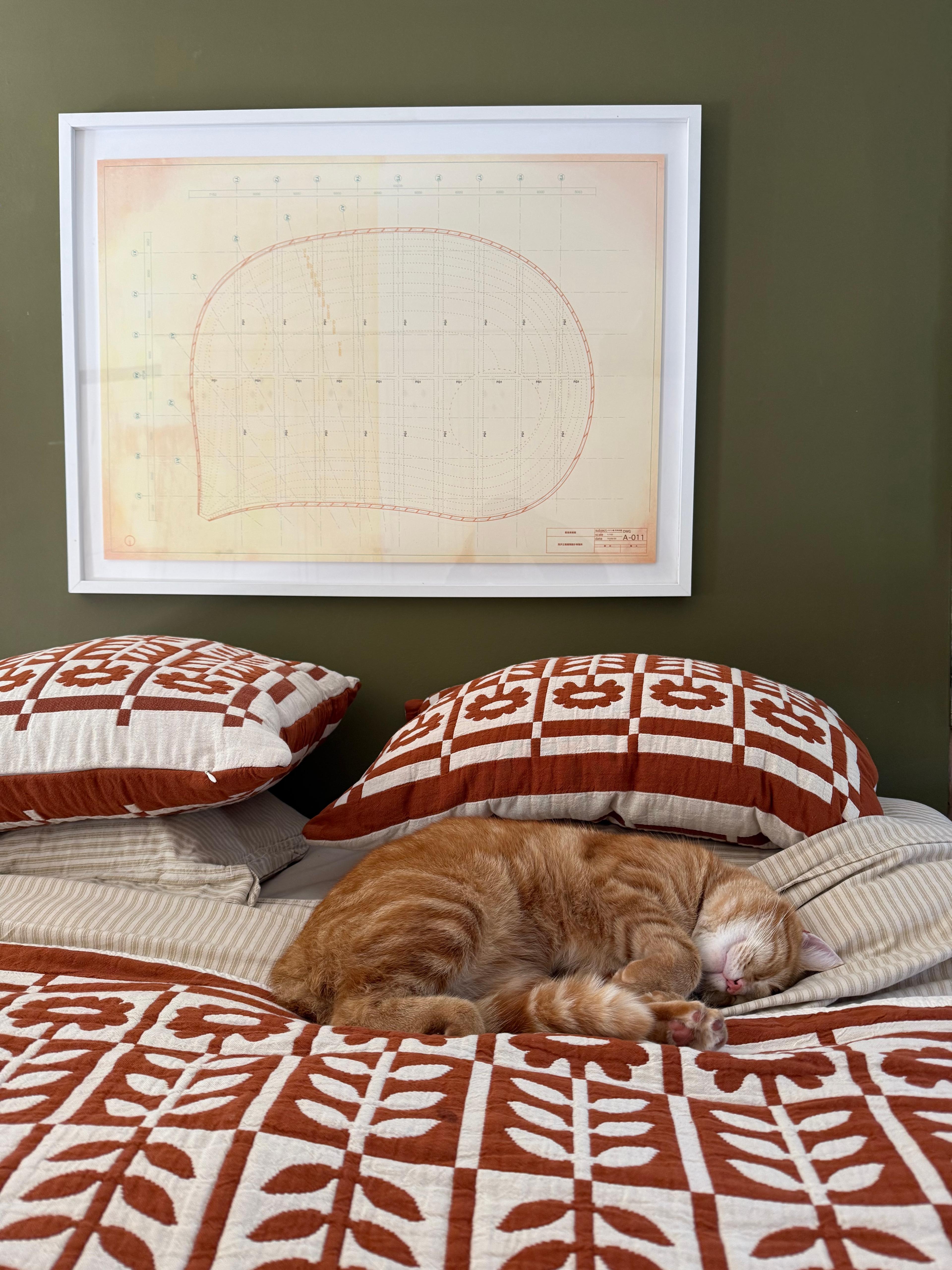 A cozy bedroom setting featuring a dog on a high-texture white quilt with soft lighting.