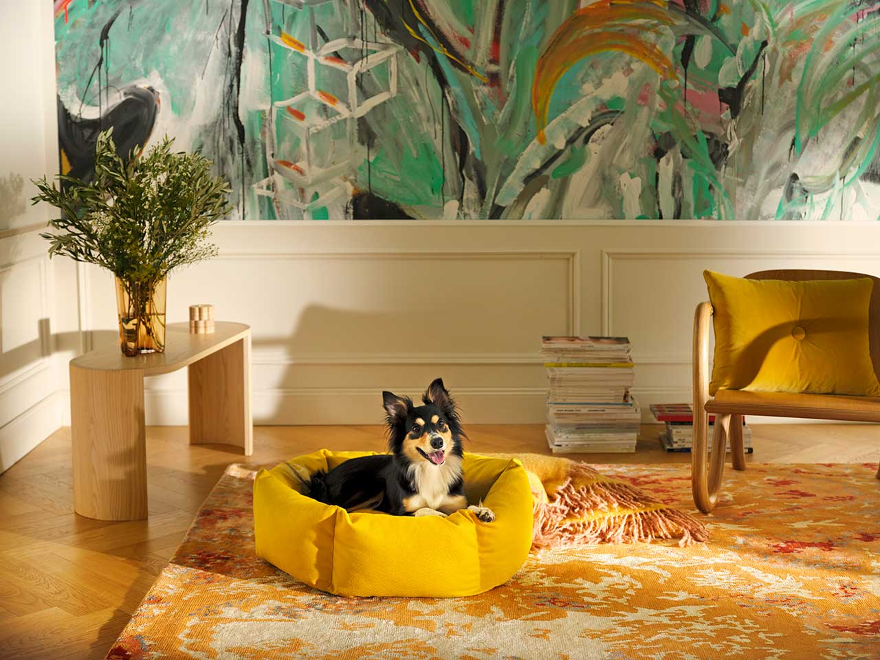 Elevate Canine Well-Being: Kanto x Kvadrat Museum-Grade Ergonomic Dog Beds