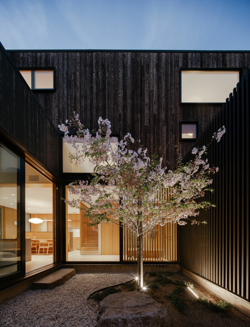 An evening view of a modern courtyard with dark wood siding and ground-level spotlighting.