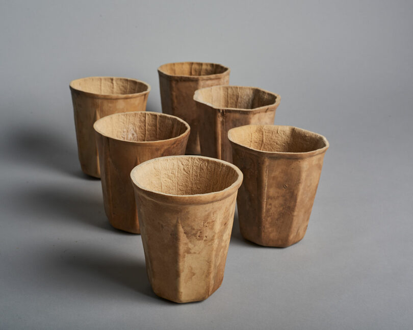 Six textured, earth-toned biodegradable cups arranged on a neutral background.