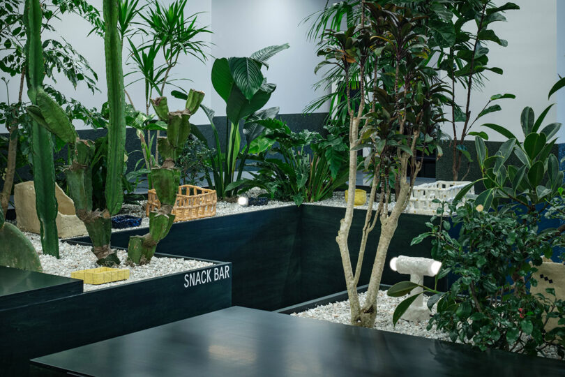 Indoor snack bar area with minimalist black tables and white gravel planters.