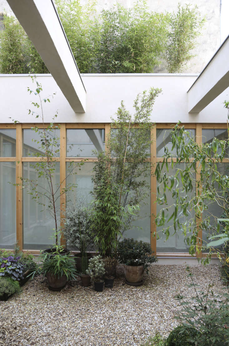An urban patio garden with bamboo, aromatic plants, and a pea gravel floor.