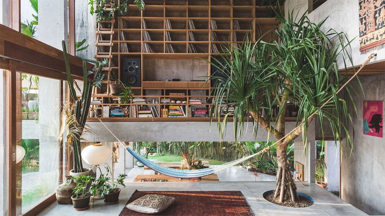 Natural Zen: Redefining Your Living Space with Indoor Trees and 2026 Design Trends