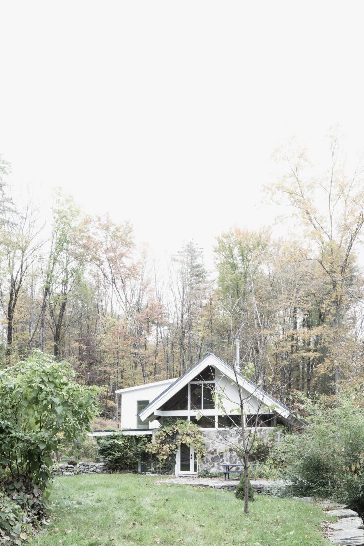 Exterior of a modernist stone and wood house nestled in a dense woodland forest.