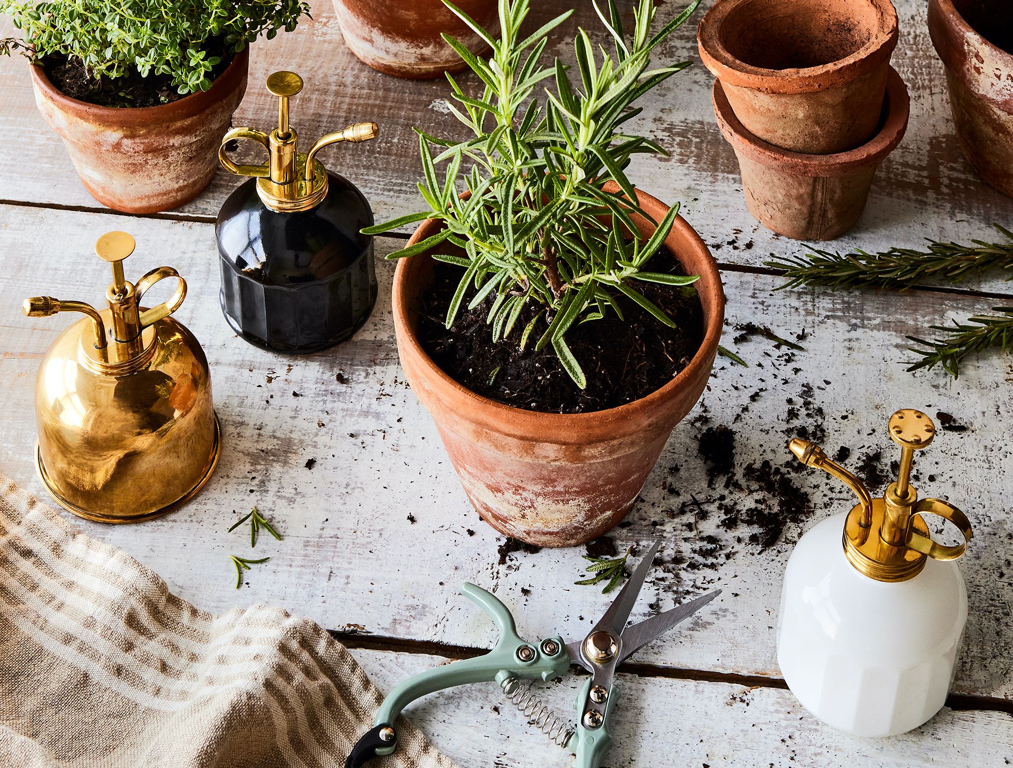 20 Genius Small Garden Ideas to Transform Your Tiny Backyard in 2026