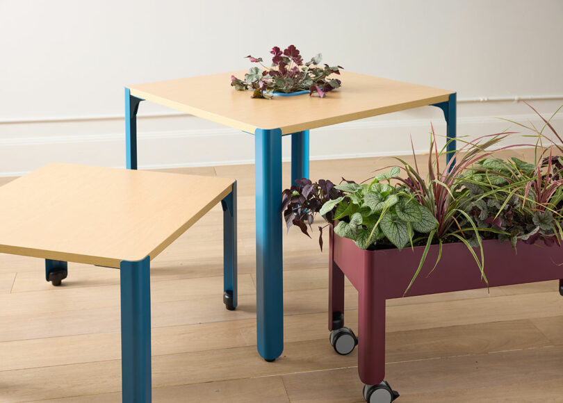 A maroon rectangular planter on casters positioned next to modular light-wood tables with blue legs.