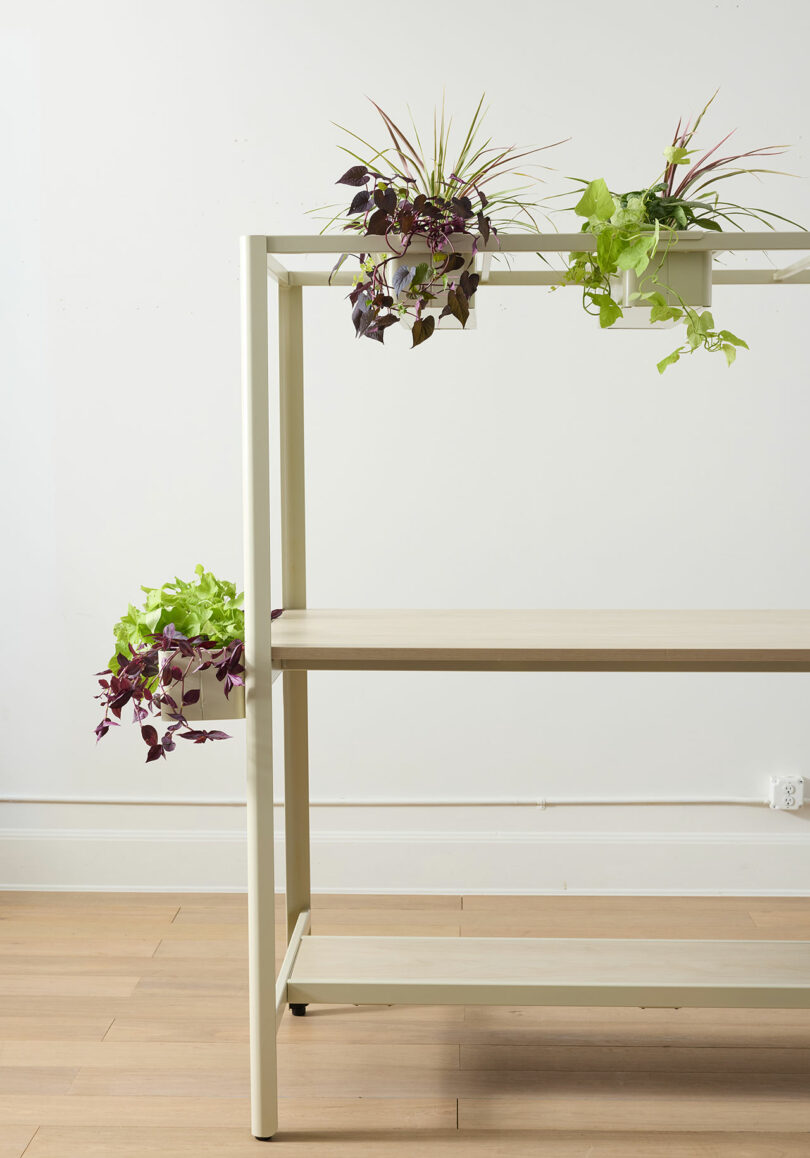 A clean white shelving unit with a few green and purple plants against a minimalist white background.
